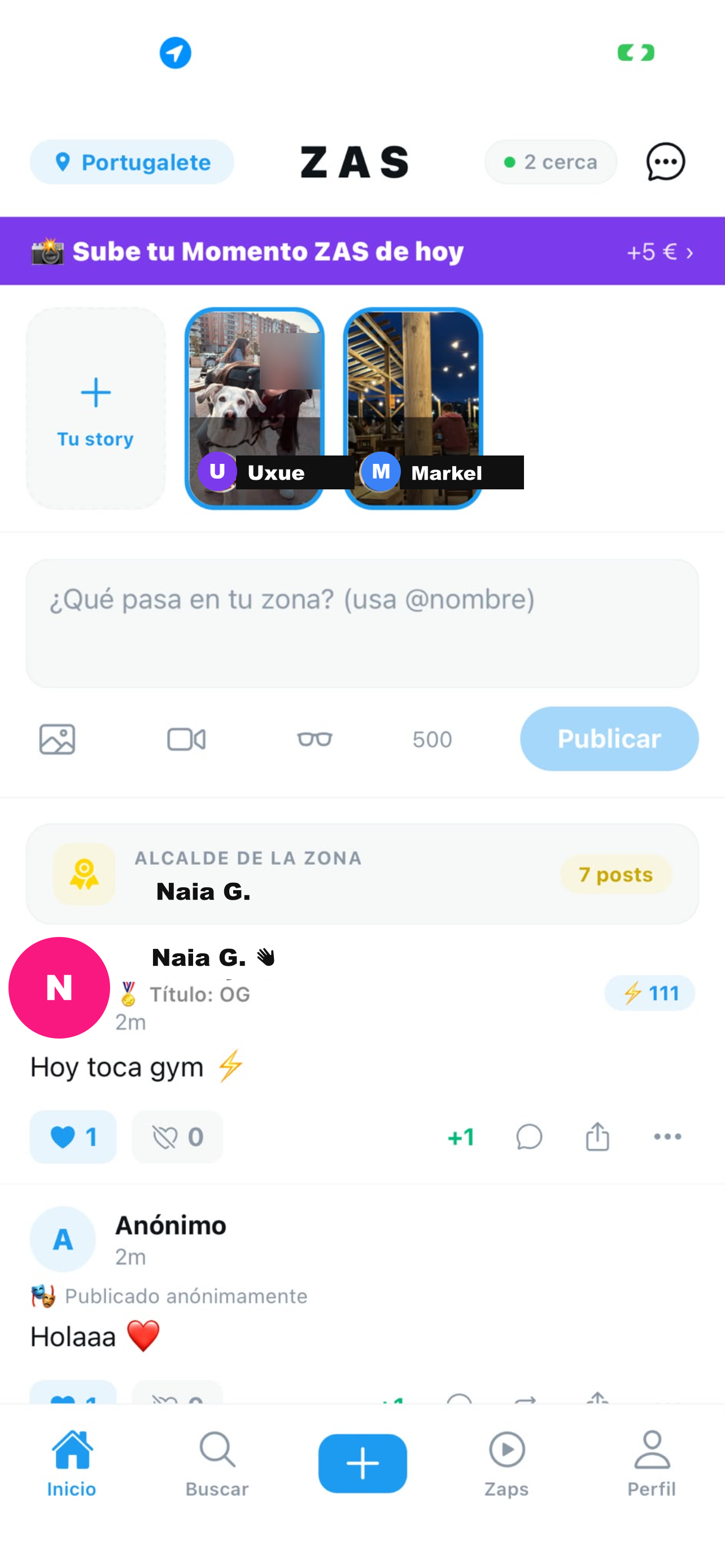 ZAS Feed